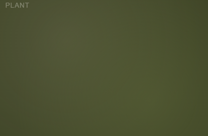 Plant Powered Options